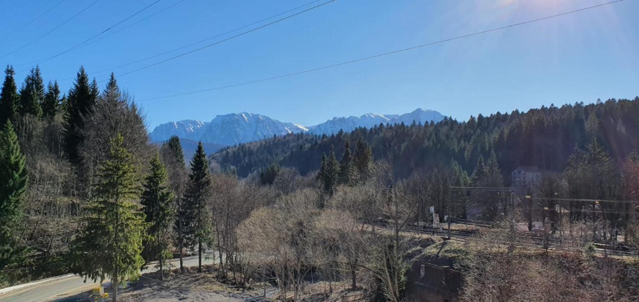Pensiunea Alpin Predeal Exterior photo